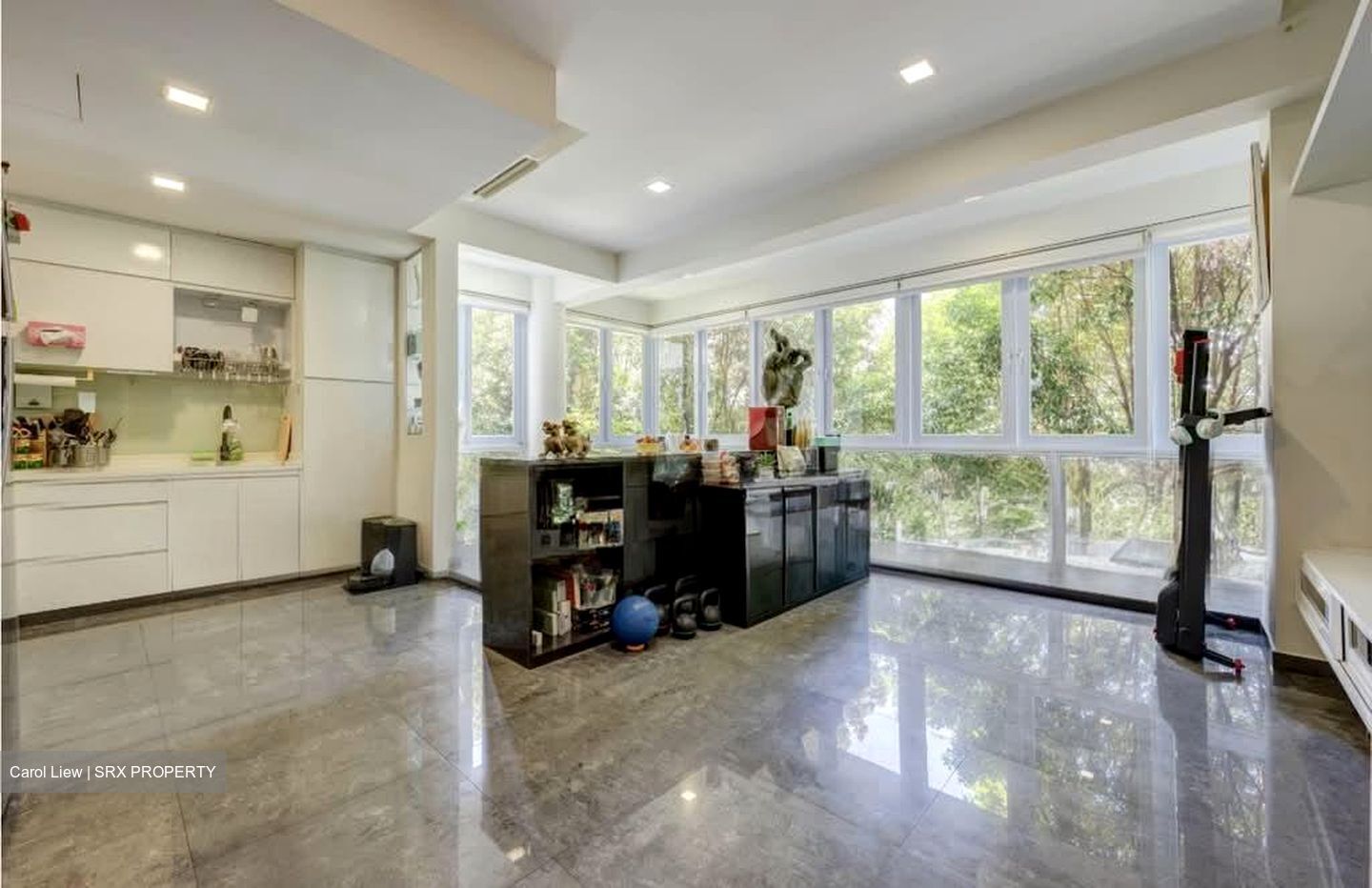 One K Greenlane (D15), Apartment #580264251